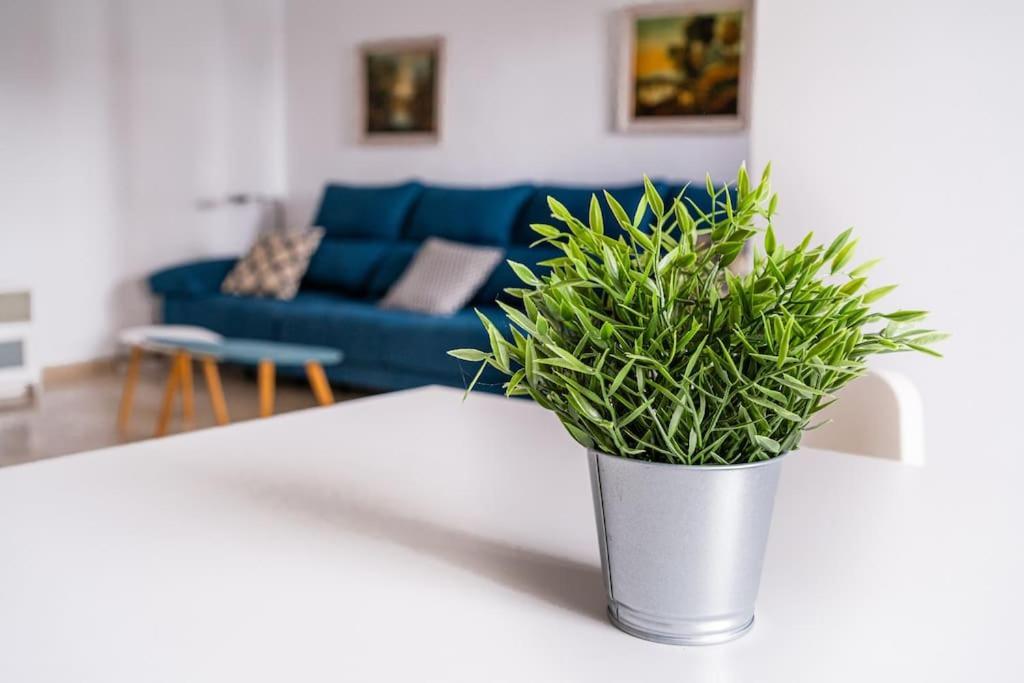 Amplio Apartamento Citycenter Κόρδοβα Εξωτερικό φωτογραφία